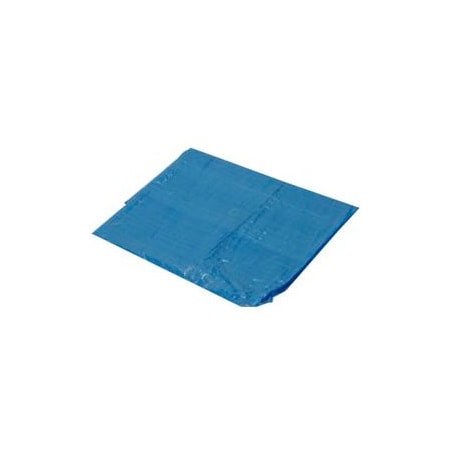 Harpster Of Philipsburg Light Duty Tarp, Blue, High-Density Polyethylene B8x12